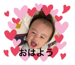 401809046