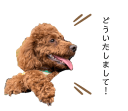 401881527