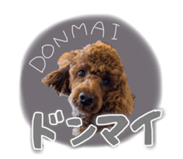 401881540