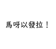 401935994