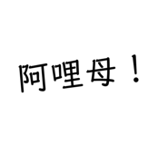 401936020