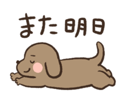 401955664