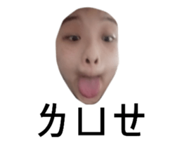 401971621