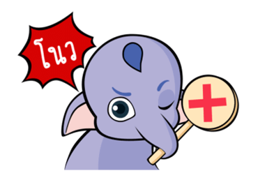 ลายที่ 24
