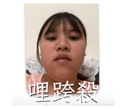 401983645