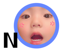 402033538