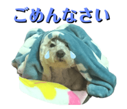 402055184