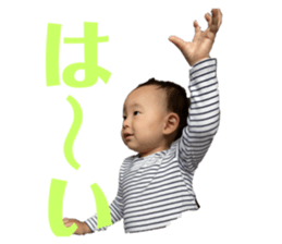 402076788