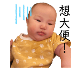 402092454