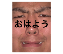 402112667