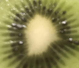 402155875