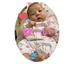 402202875