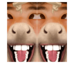 402206989