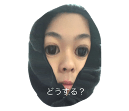 402216677