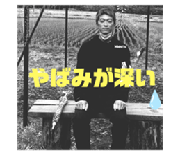 402264962