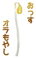 402287902