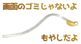 402287906