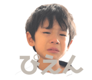 402341648