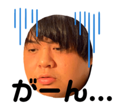 402344131