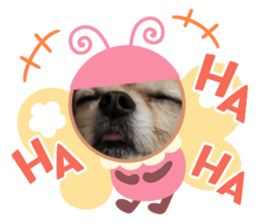 402350249
