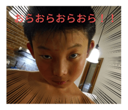 402362277