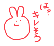 402385034