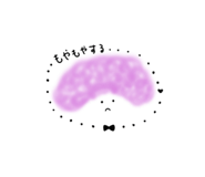 402407530