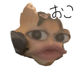 402434182
