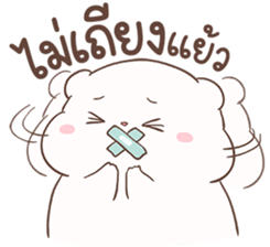 ปุ๊กปุ๊ก หมีน้อยอ้วนกลม รูปที่ 19