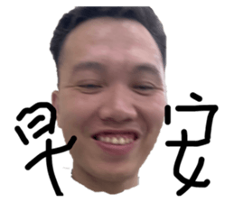 402487811