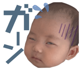 402489768