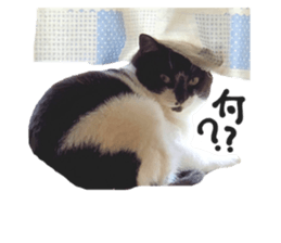 402497152