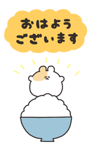 402534498