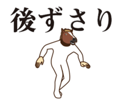 402547248