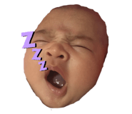402583049