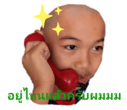 402591143