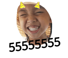 402591153