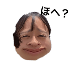 402628278