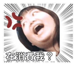 402645477