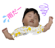 402649488
