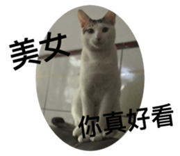 402687788