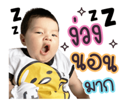 402702353