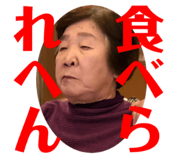 402703924