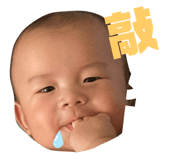 402736606