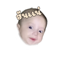 402821948