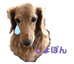 402879330