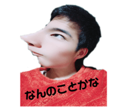 403003560