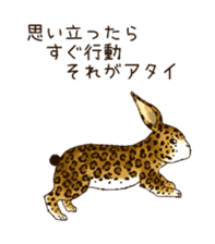 4030251