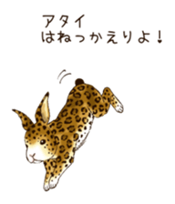 4030274