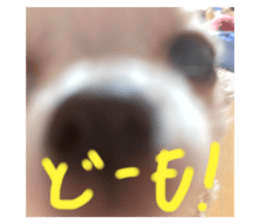 403030101